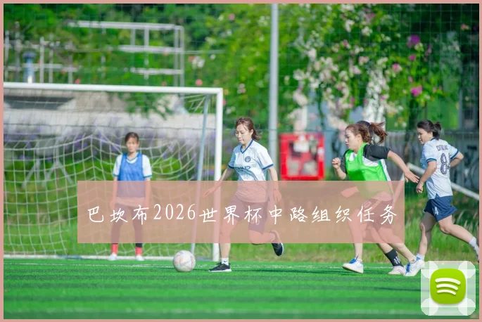 巴坎布2026世界杯中路组织任务
